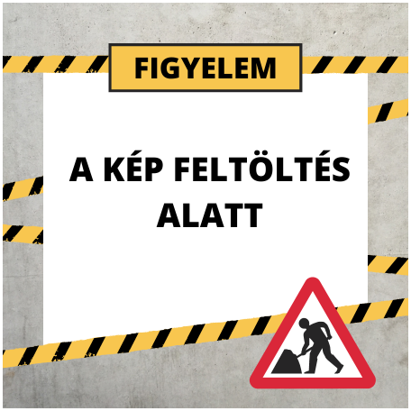 Hólapát fém, fa nyéllel